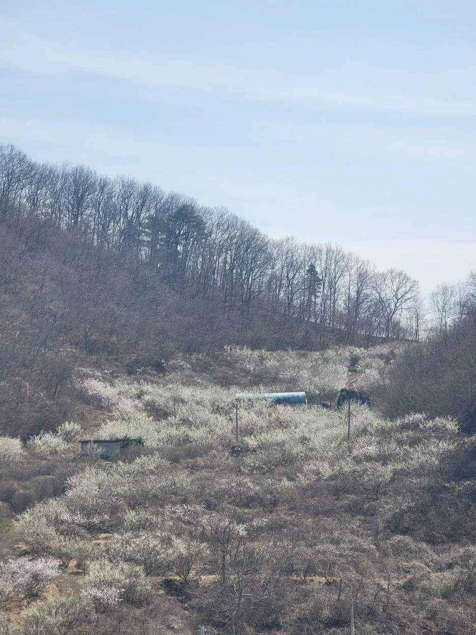 20250328_132448.jpg?type=w1