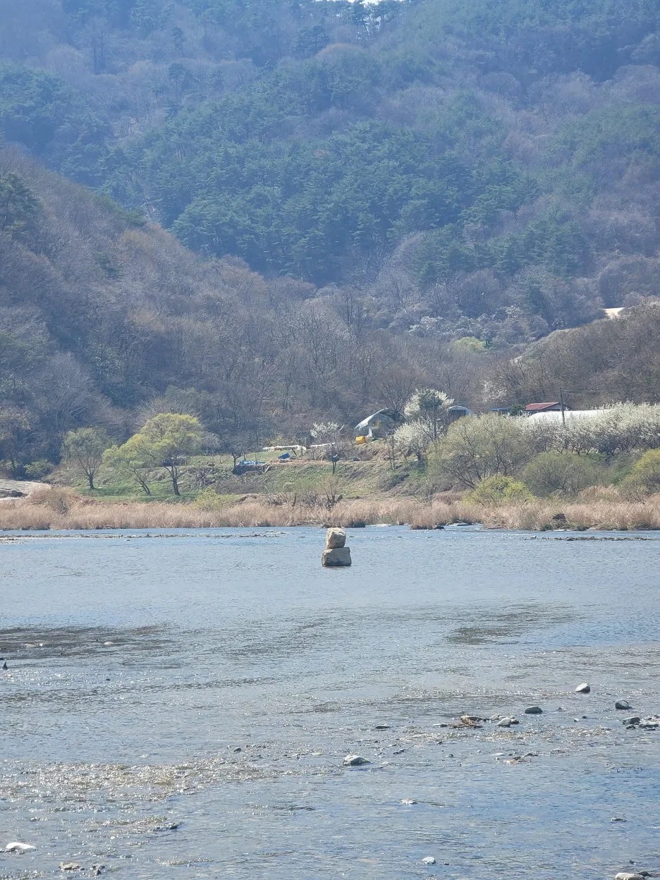 20250328_133127.jpg?type=w1