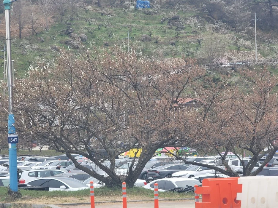 20250329_124526.jpg?type=w1