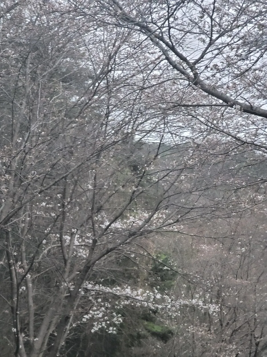 20250328_184018.jpg?type=w1