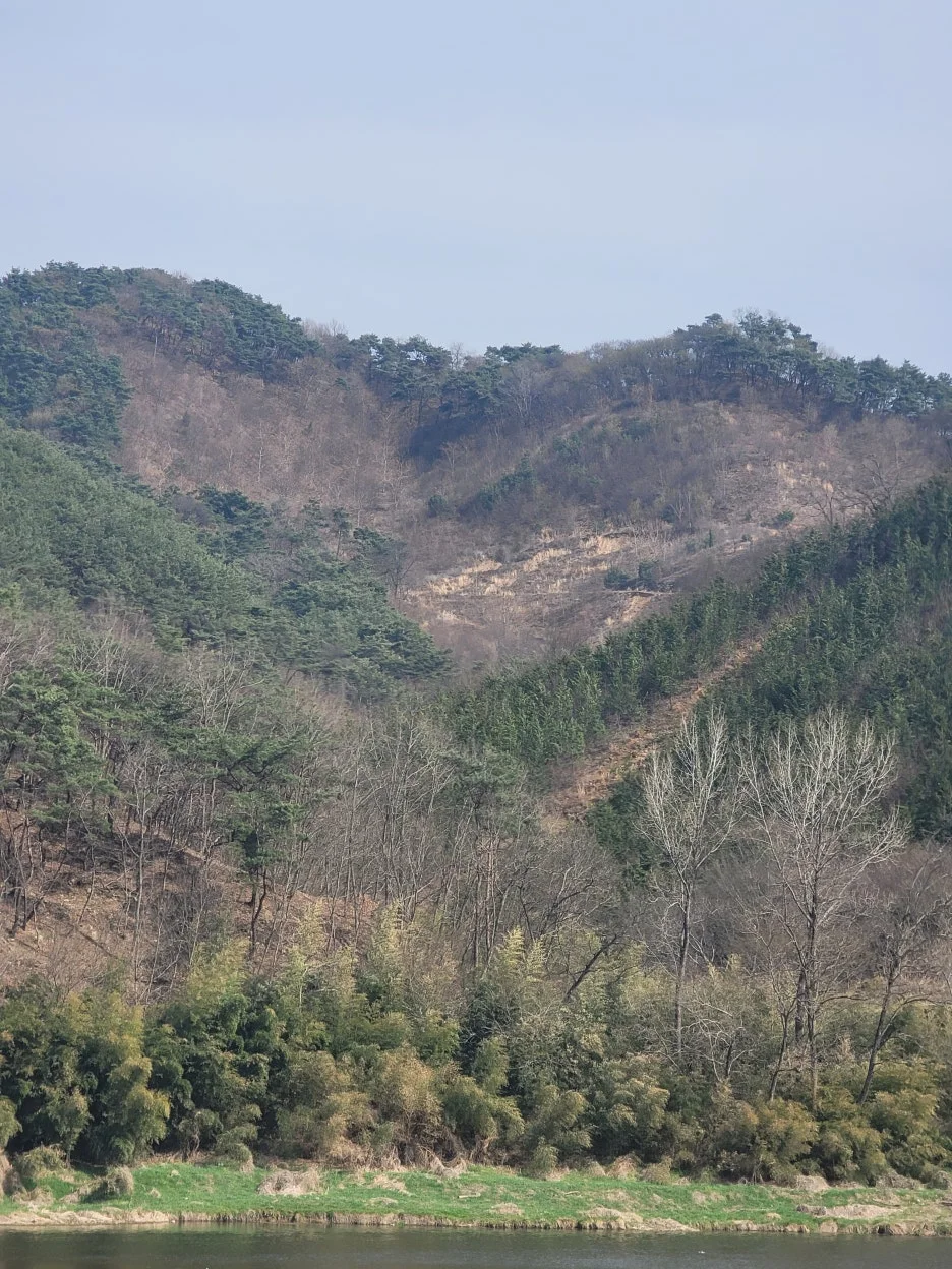 20250328_151226.jpg?type=w1