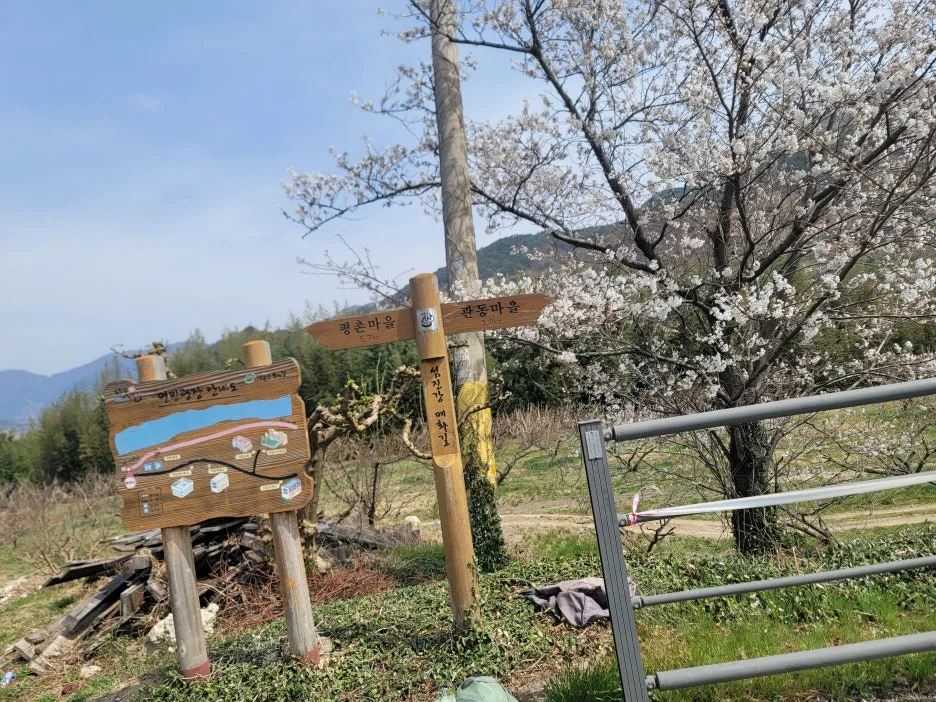 20250329_115809.jpg?type=w1