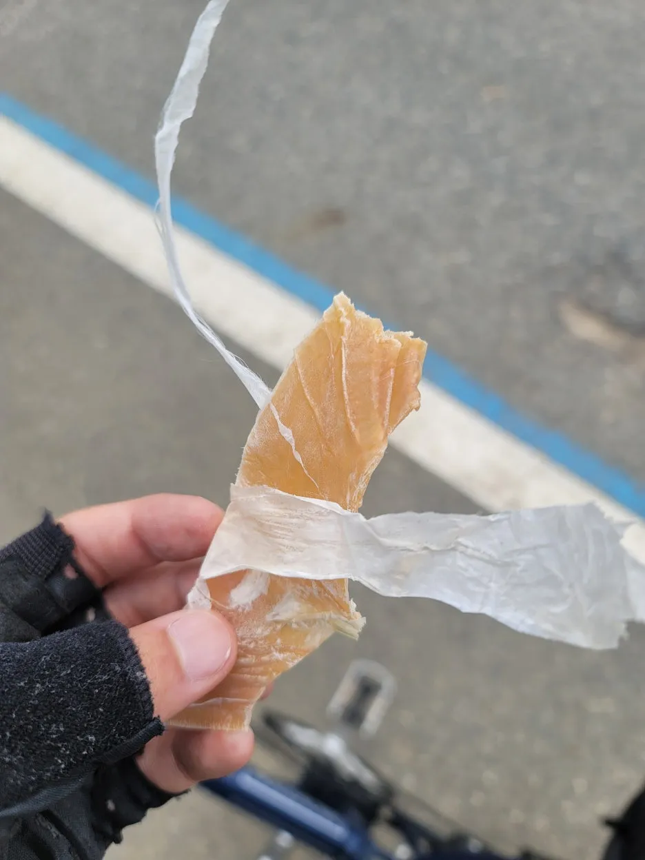 20240511_111149.jpg?type=w1