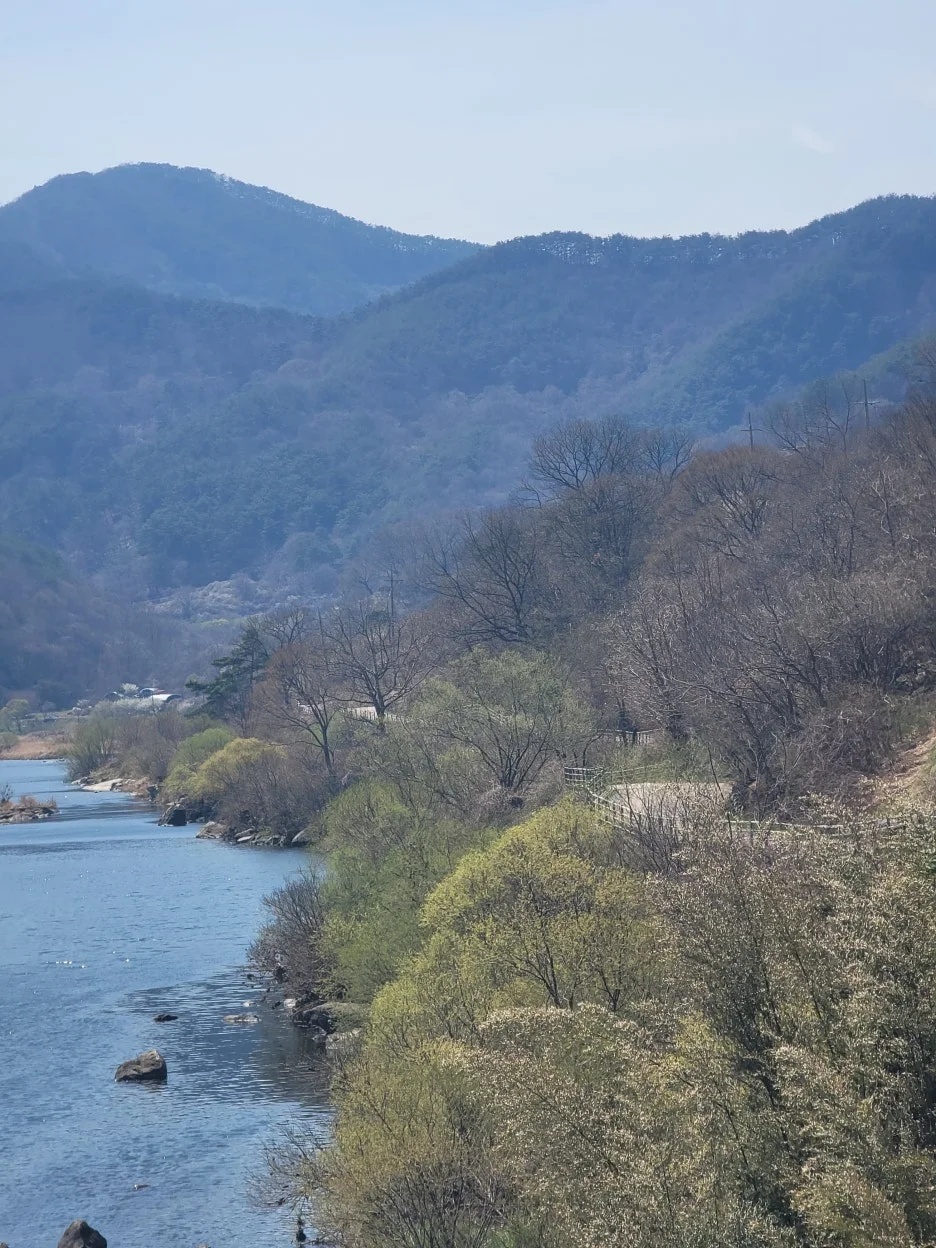 20250328_132533.jpg?type=w1