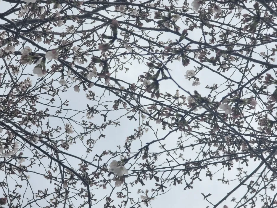 20250329_134542.jpg?type=w1