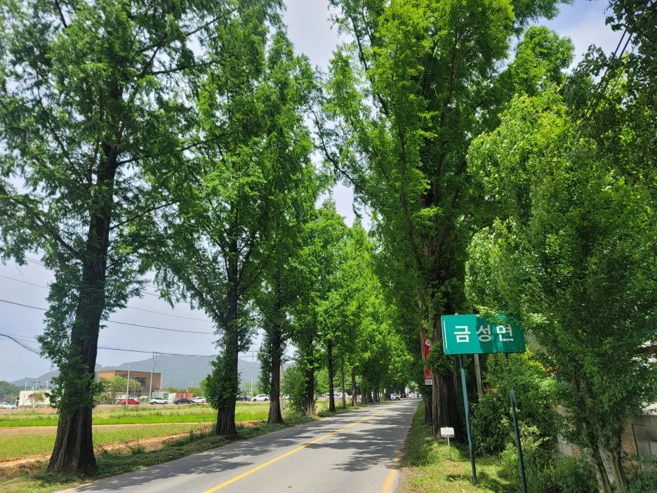 20240512_131130.jpg?type=w1