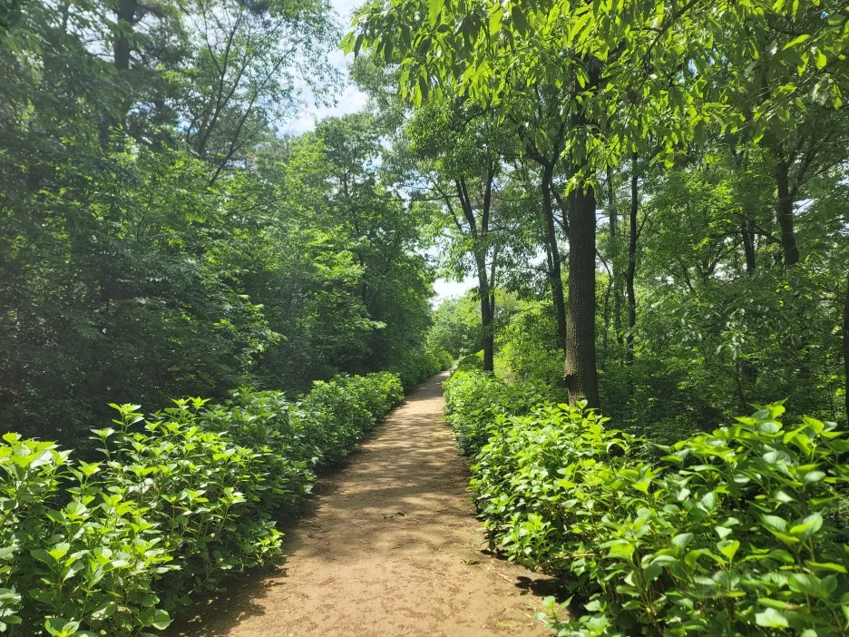 20240511_115221.jpg?type=w1