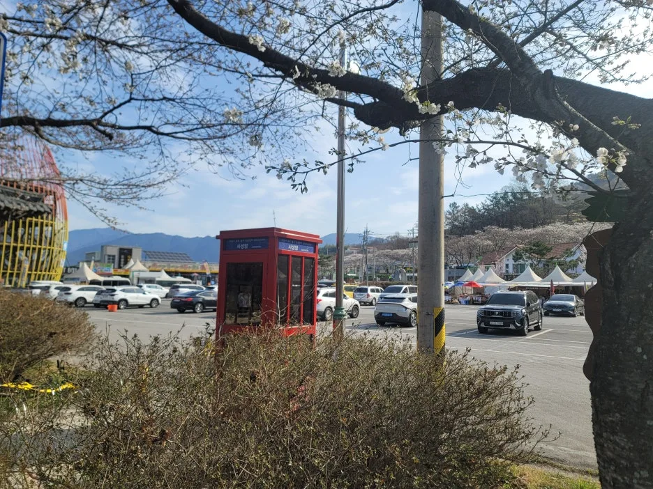 20250329_085922.jpg?type=w1