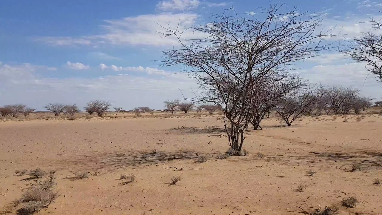 img.jpg?width=1280&height=720&face=0_0_1280_720