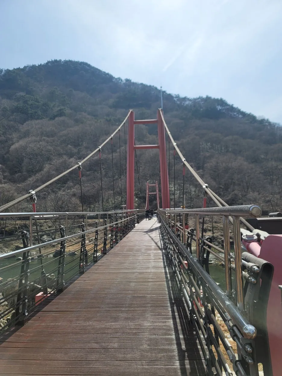 20250328_134111.jpg?type=w1