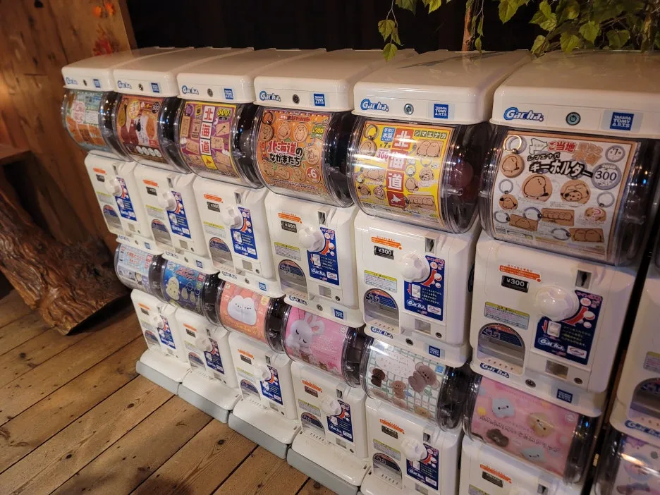 20241221_101627.jpg?type=w1