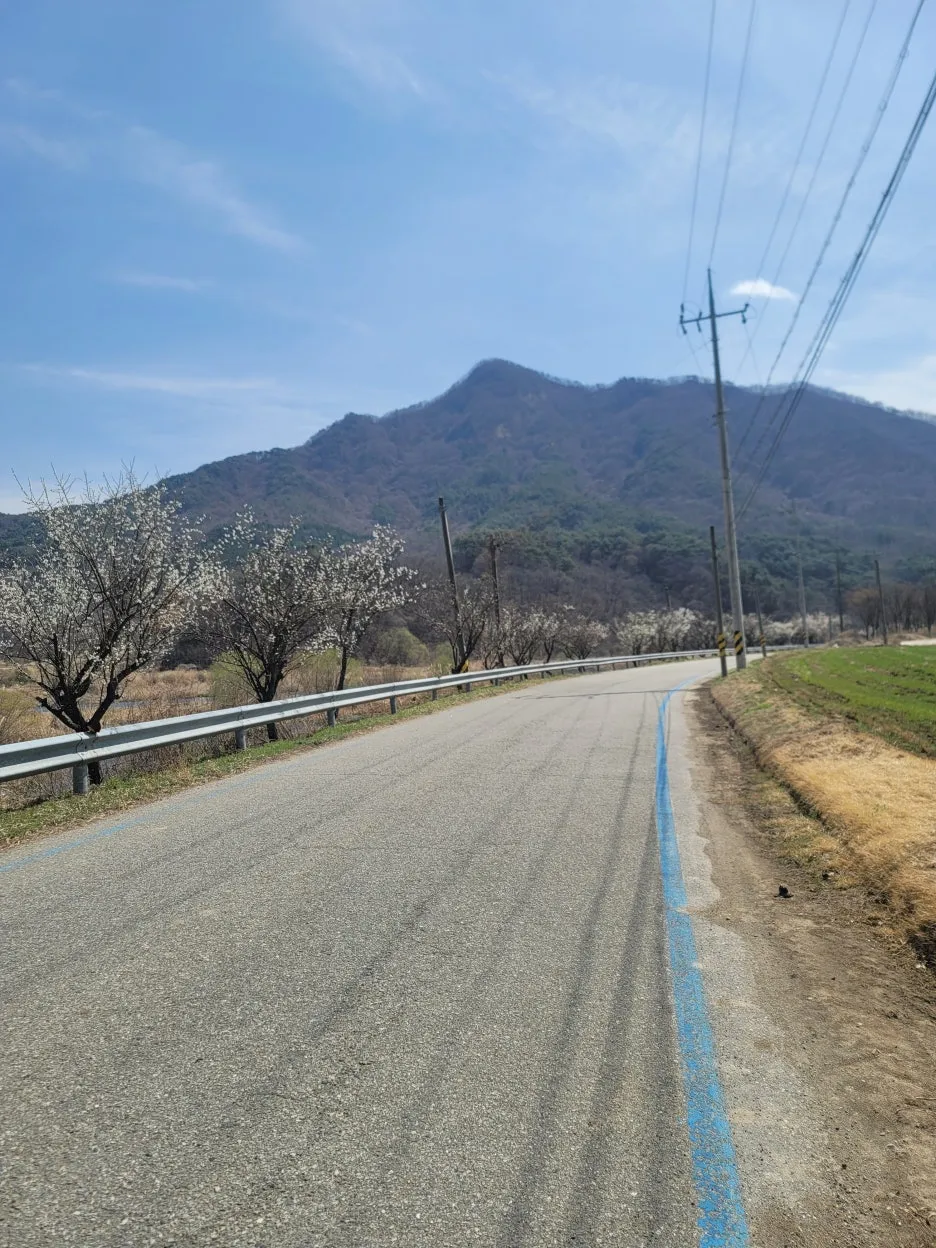 20250328_131858.jpg?type=w1