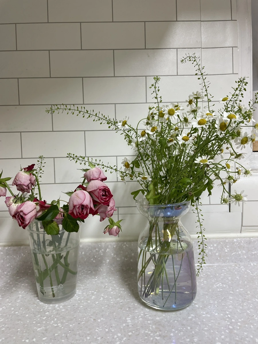 IMG_5575.JPG?type=w1