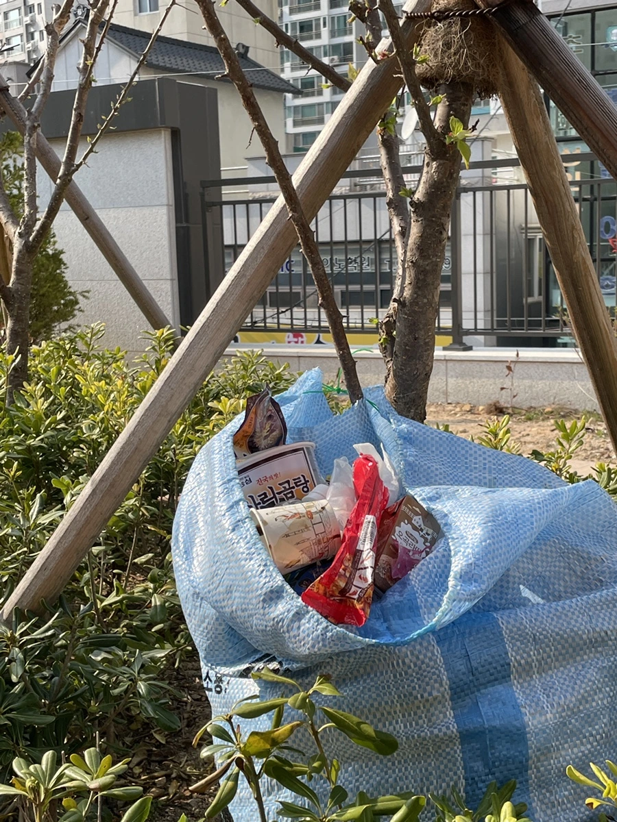 IMG_9352.JPG?type=w1