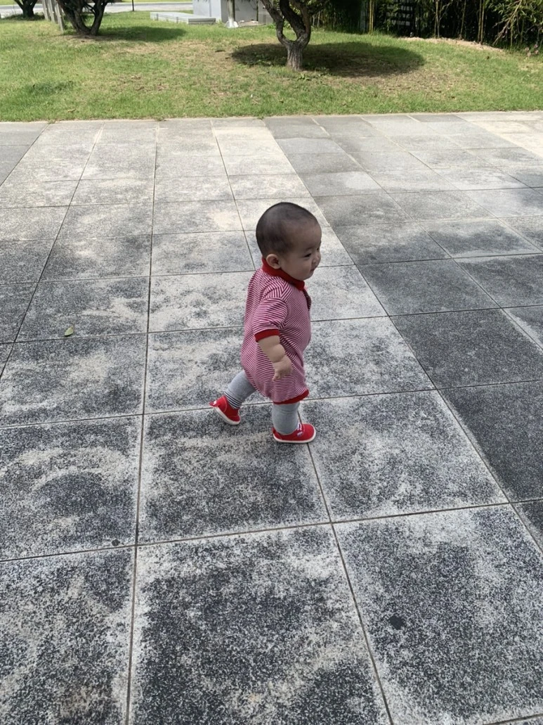 IMG_6506.jpg?type=w773