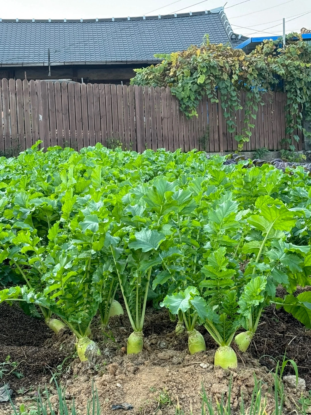 qlibtig3KXtNR7clG8Jv7Rz6Nwv58x2UMT7m2PgcSs7-2bafpPEzxo2C42727p6g_idu45AXR6q57lgHx4wteGO87ZlUr4xBSmODdfo0rkr91RtGN4cK=s0