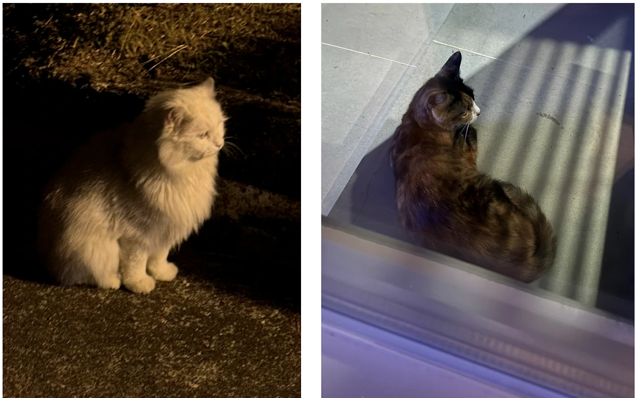 JHVwNp8SfvlMVkO0_sz_8OmMgIDbX2hVSI_Vwe6nQZiIPTKlv-n_q8Fx_SLP4Q1H128wOEozfB8EE9l5cPvzQx_B-cQaXagbop-jReDoHc_towiQuVKC=s0