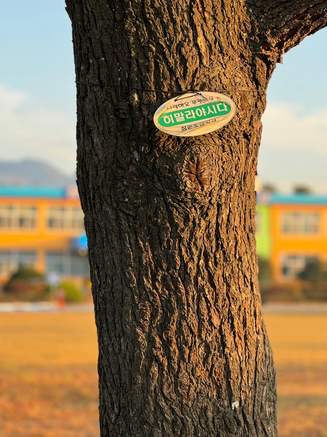 PAsZjdjkkQq079XwglQUwU1CRBe-Vmj6atvDv-_RD7a5EIXC-HlIHvzJid8TpW0f6F5VC7_yZ8fvRorj4fyuXc9F_E176fT9I0XgOZhIGNfFRWpIGt7Tdyo=s0