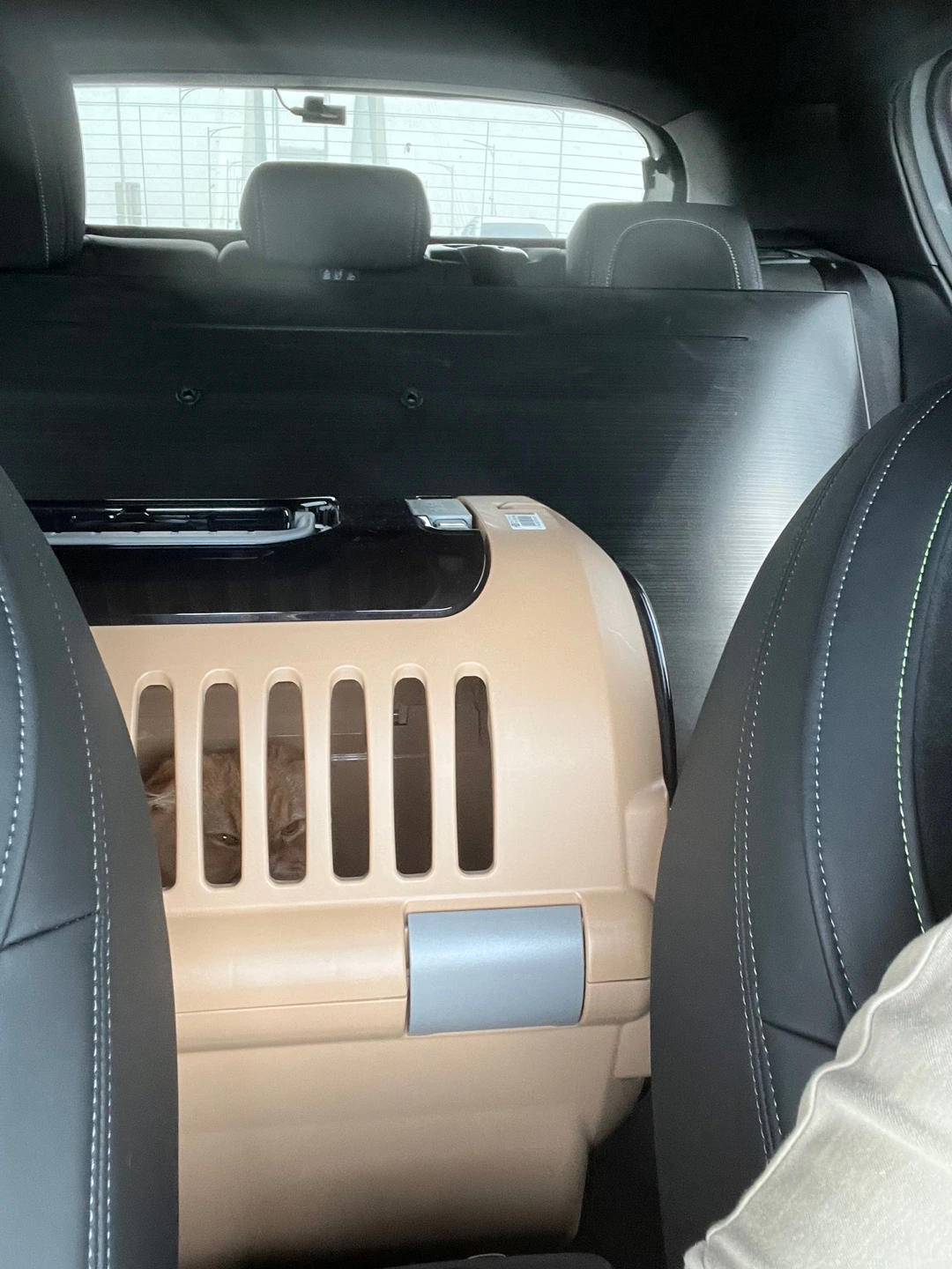 5qhV20gfb_zIhRcFYbbsHpAnGUEhAEQcUXEAmXue3ELna1rbmfNf971EL_0A_e4n2q-moFNihlyQPFIZM2Gse81JYlX8OJZQrlG6WO7T7bJpDV9GfypLRQ=s0