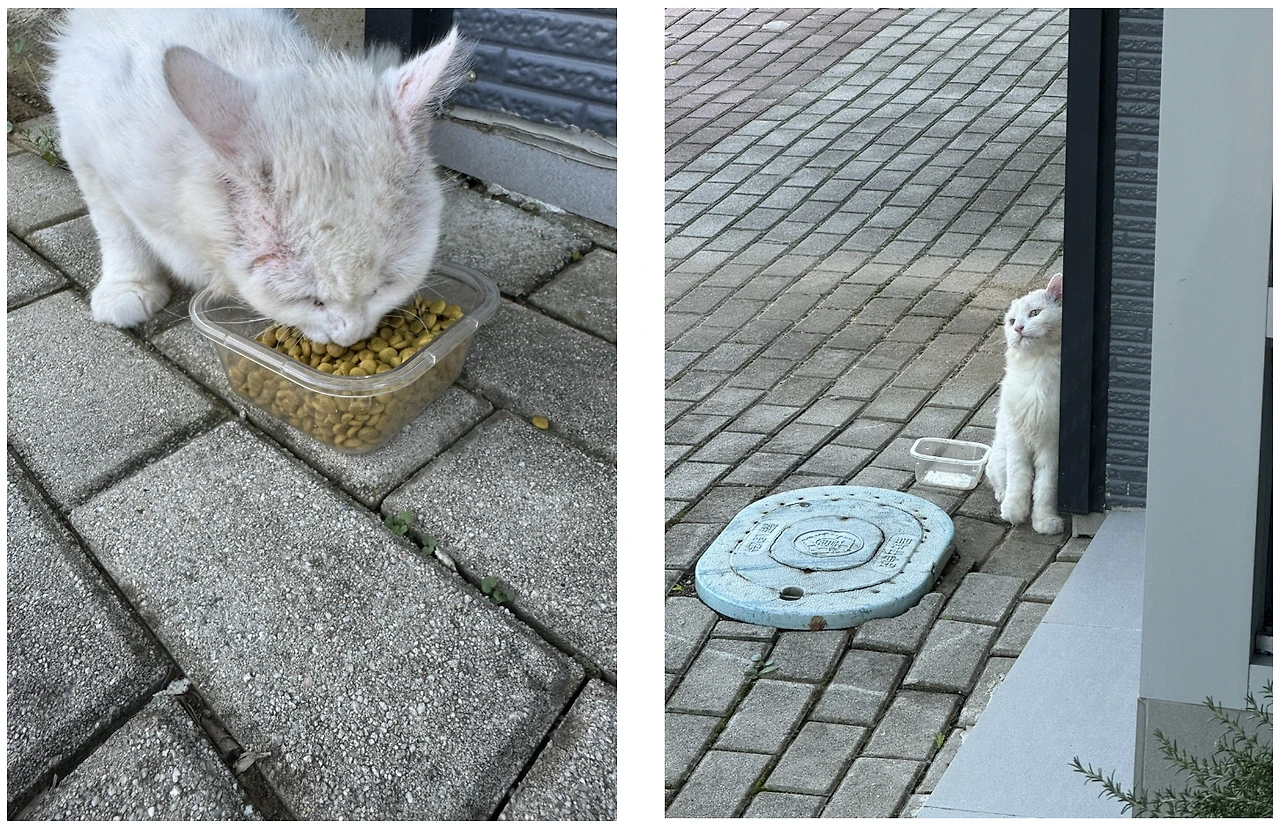 FRX0OUs5Mee09ldW49i1psCuNcU9S1ULXyR55FycqeHlA-6HSiPh2RDkTfe00dfkyKIMr_6pEQlbCxKcBXZCg9uyPpP-k0IQf4nWMNbAkTxqQLvL3-LoHA=s0