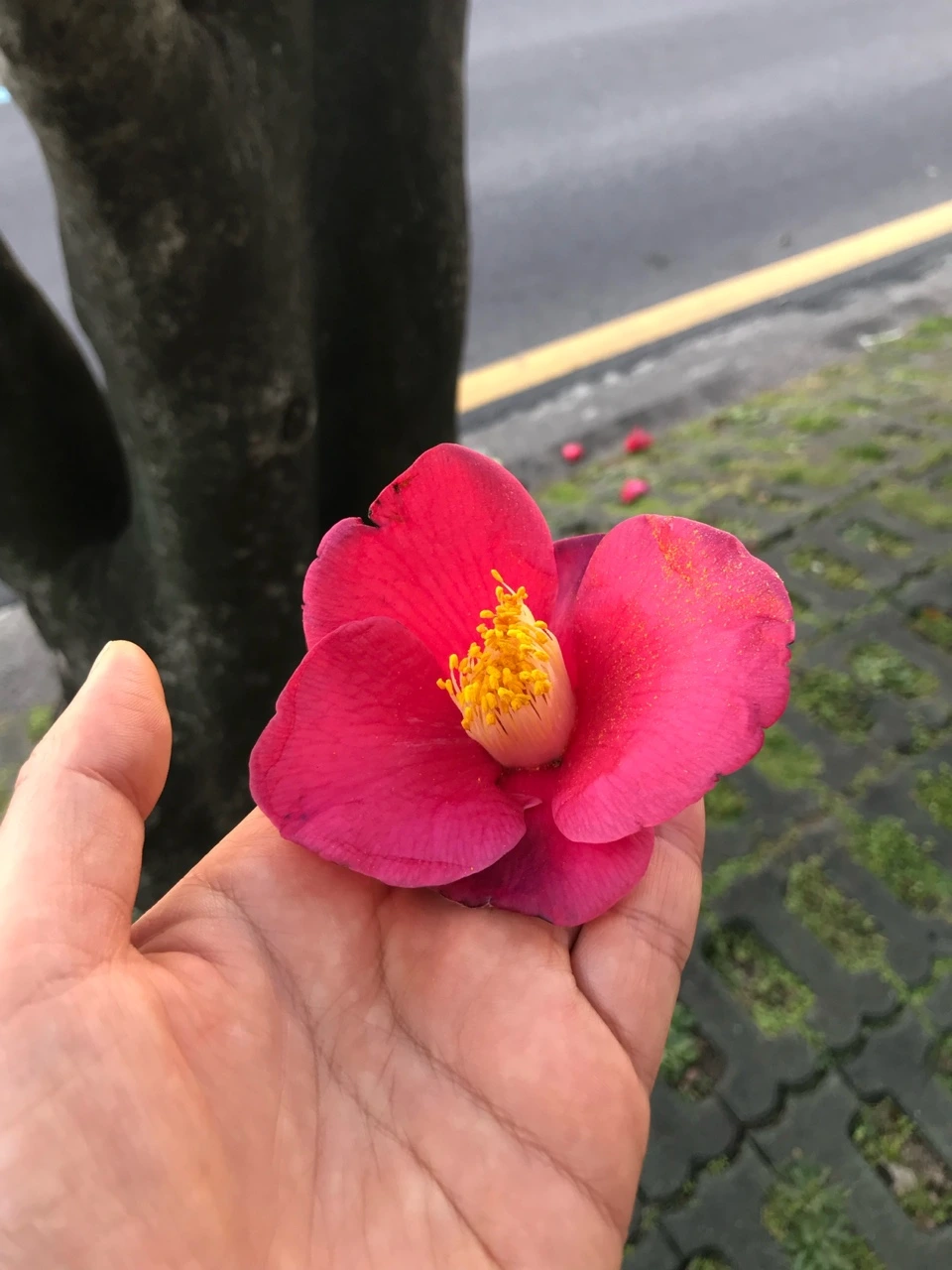 ytS0i-OVS4cYmXImZrXJK4xI2KxBB1B9z4g83dwU2QK9twRvtKTsCgWEckUeMzfWcs_jKg3-ViObtxq9vacpG3sAigjqwJwnofNUg2eEfUOX1GAsfBSROw=s0