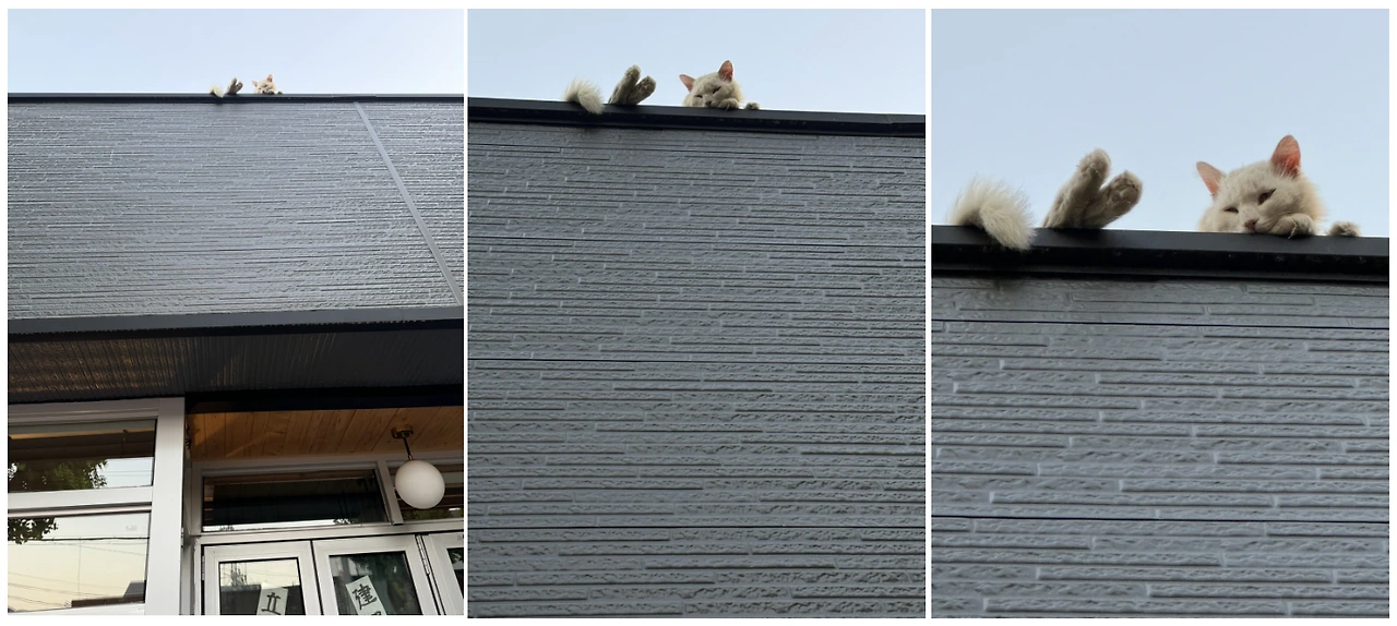 iS9jd6gn4Jor6TH8W4ITR2i3N6r8ZqJZVqIs2VmqKpMzNu9glBayRLW6pAOzrsIlq0BZ4sJn1osAzKE7HeyLSoj3LRgMeTYev4GrI0V4cr0VqpvTOo8bHg8=s0