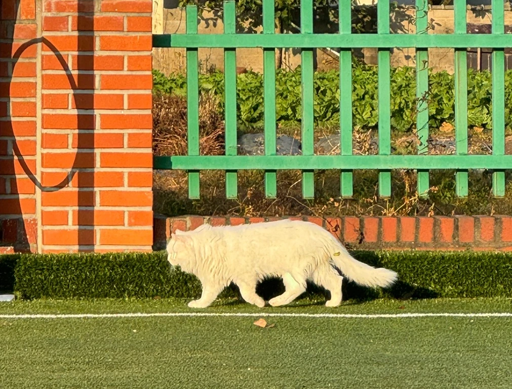 sF9Wm0Kntf9F2gX8soWS5vpp-BrxBze7EQ412-XbpsN30tbJm9Cpbfjv-5pCIDKDCZmgOL_AuozVzc7I-mYOP4aBv-zykMzAu-g08N8RumM-ywQZLR-ayg=s0