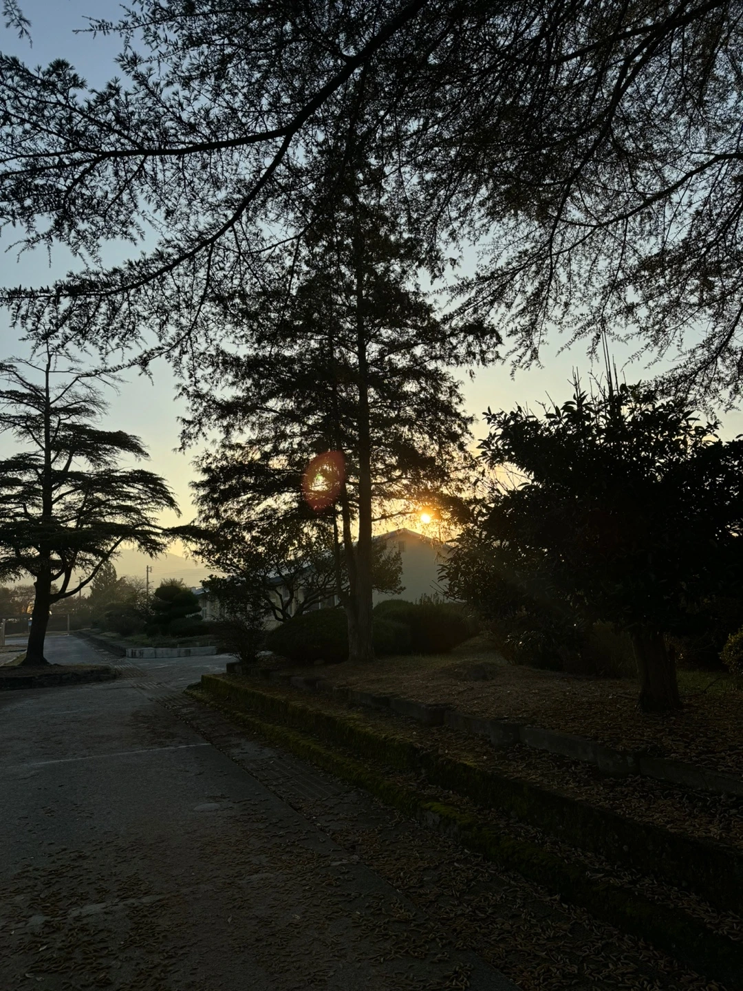 8XIrsK0GR-A0fsqinOYN-I1dxtlkzN6C37MHdQw-sG62Byqg1MuDTbgMnX_2VmnZNXej1n3LatPNhTFyFeUezitgQixCfvD0dx-iSebNUFhxx2_MypbM4q4=s0