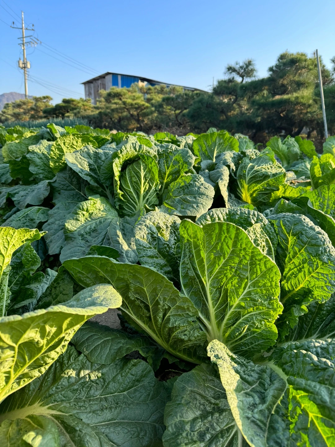 UrxVpLVXt60UAJNl-a8tYngjb4ypU2ze66S7N_EhPEf_hsR-XClPP7MM0wTAiCpk25hmChAetTVblkyuaQsVgGUe0Z_bO9WYOWdVhlTXmnLKtUYj0vID=s0