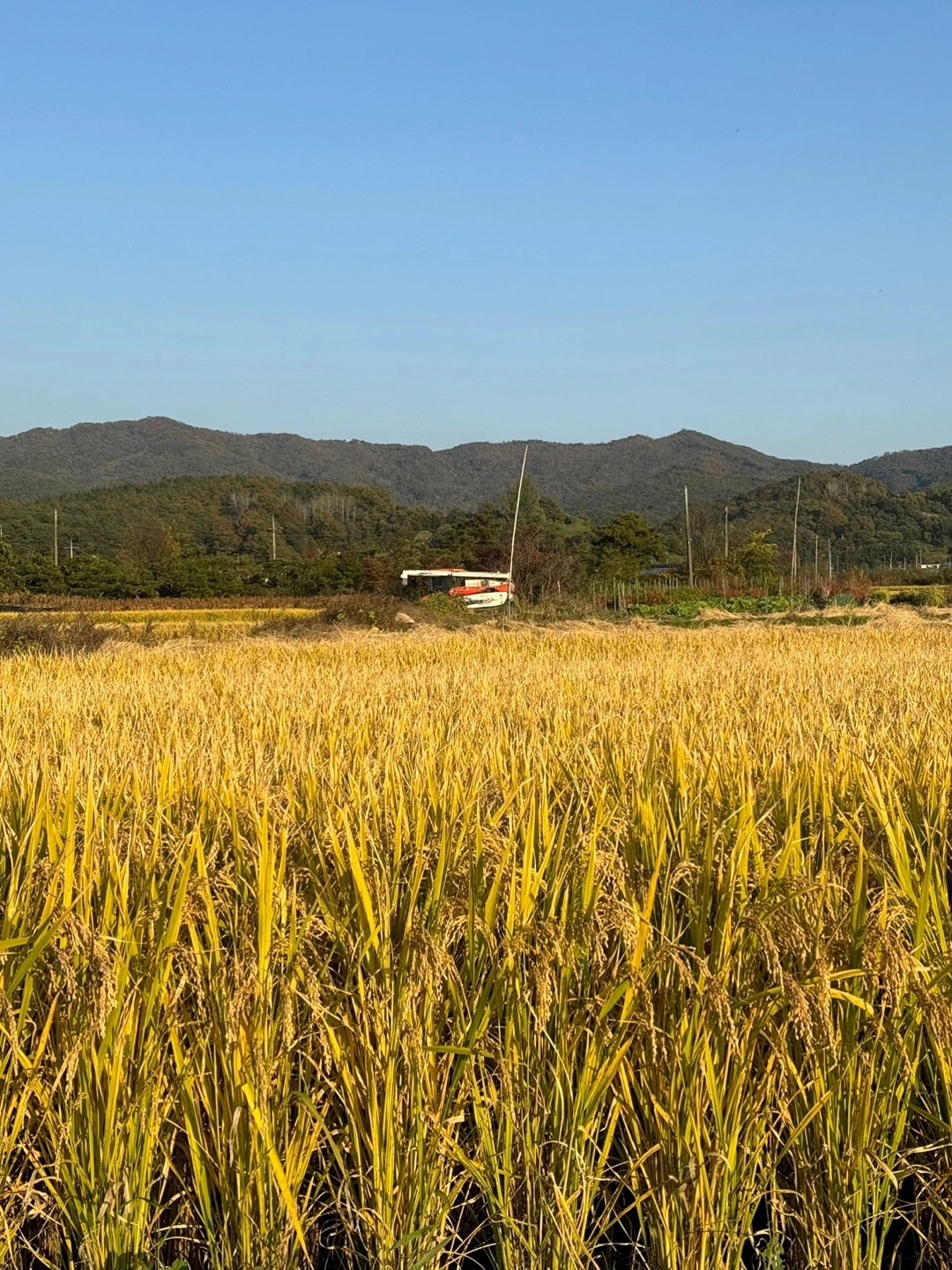 mpveQFISMUejnAkTyc-SgZo5pITo9sU3oa2tBDznSpggs0DV8e_6jpmhUl8NumHsbXLu-8K7JNc456rmY4csOo7zhZSkV4qv7FVrhLJjtMcMGO-uBuNUkg=s0