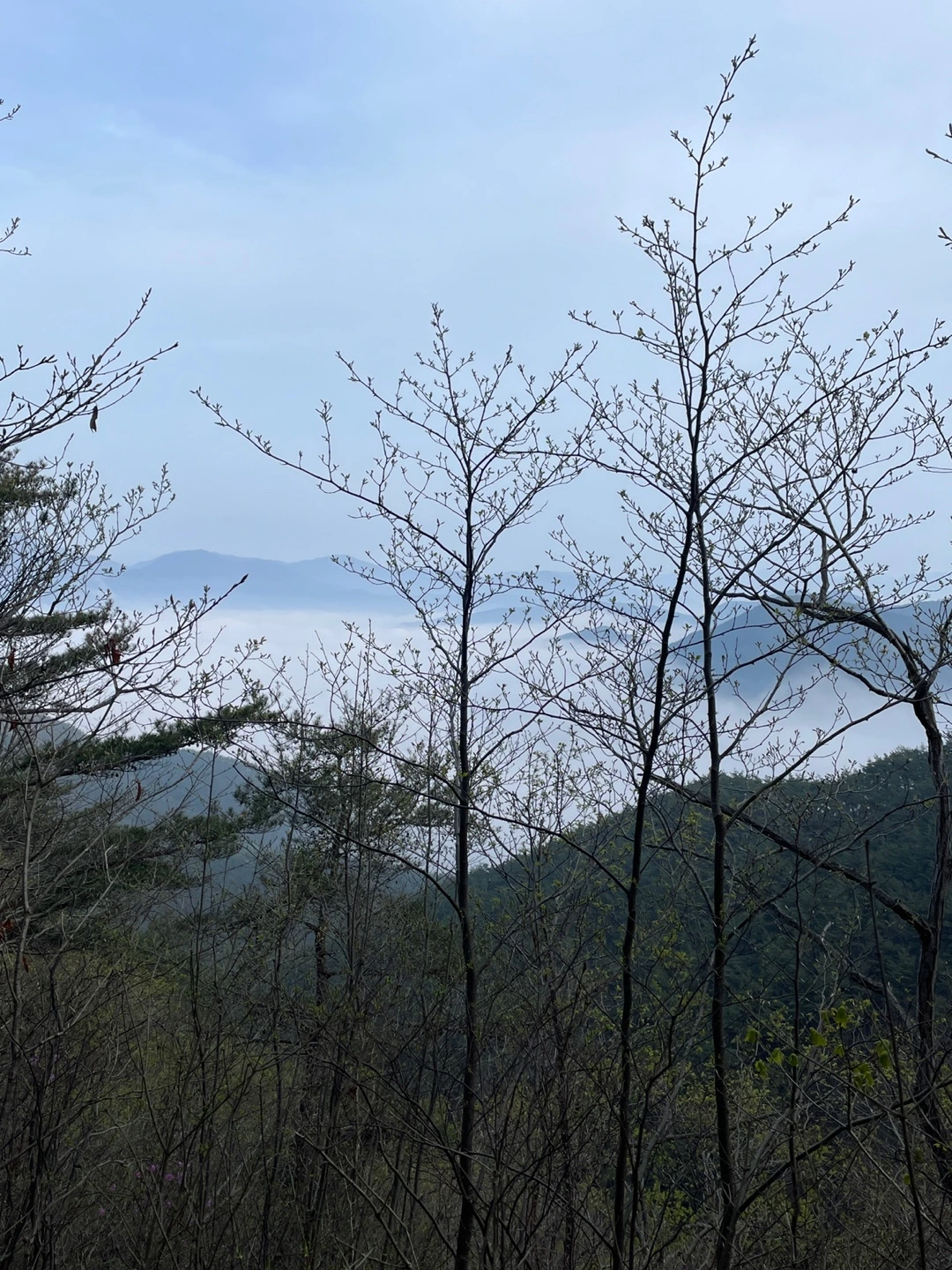 Os4Fx2jQNrJ7ViKe4yuaxDZvOgLvuDMKNdpzeWmthnTXfy69WoNSuQQnwAi2KnlISTI_Y9iScANgWEziU7JYPuy7YvoC2WeJkLAq75ENARKMmPpSF7-KPg=s0