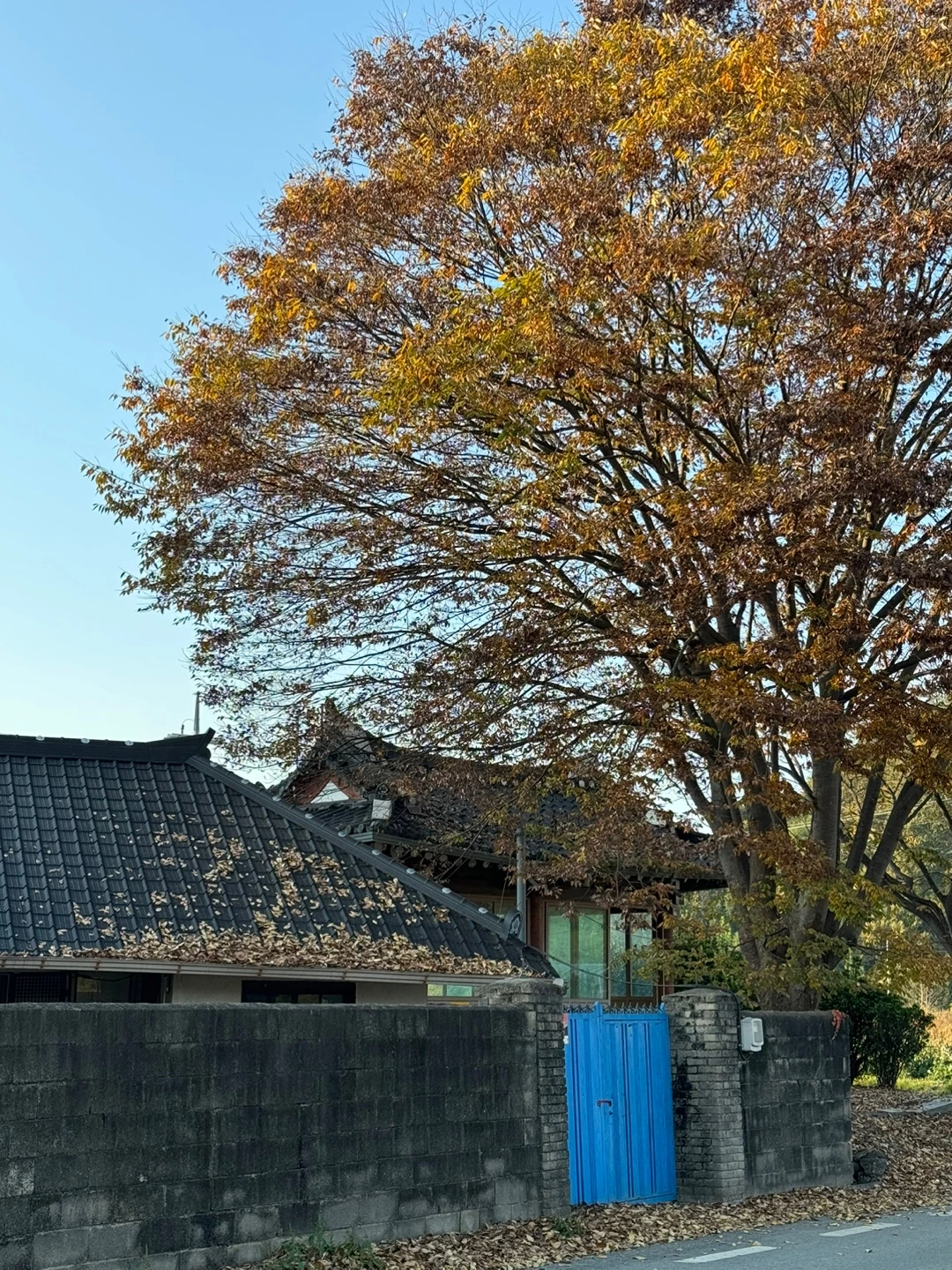 CMLpma6zU97DKhFuqatZZGUzewd3OtsoyYy9nm-LLvhTgnIv0BjS5rbMZbHTMGRqBF6vbOEOQp0xIzXaNrQyXGe4_AOhMK546jHPc0FpoAUIPyVJO-M0Lg=s0