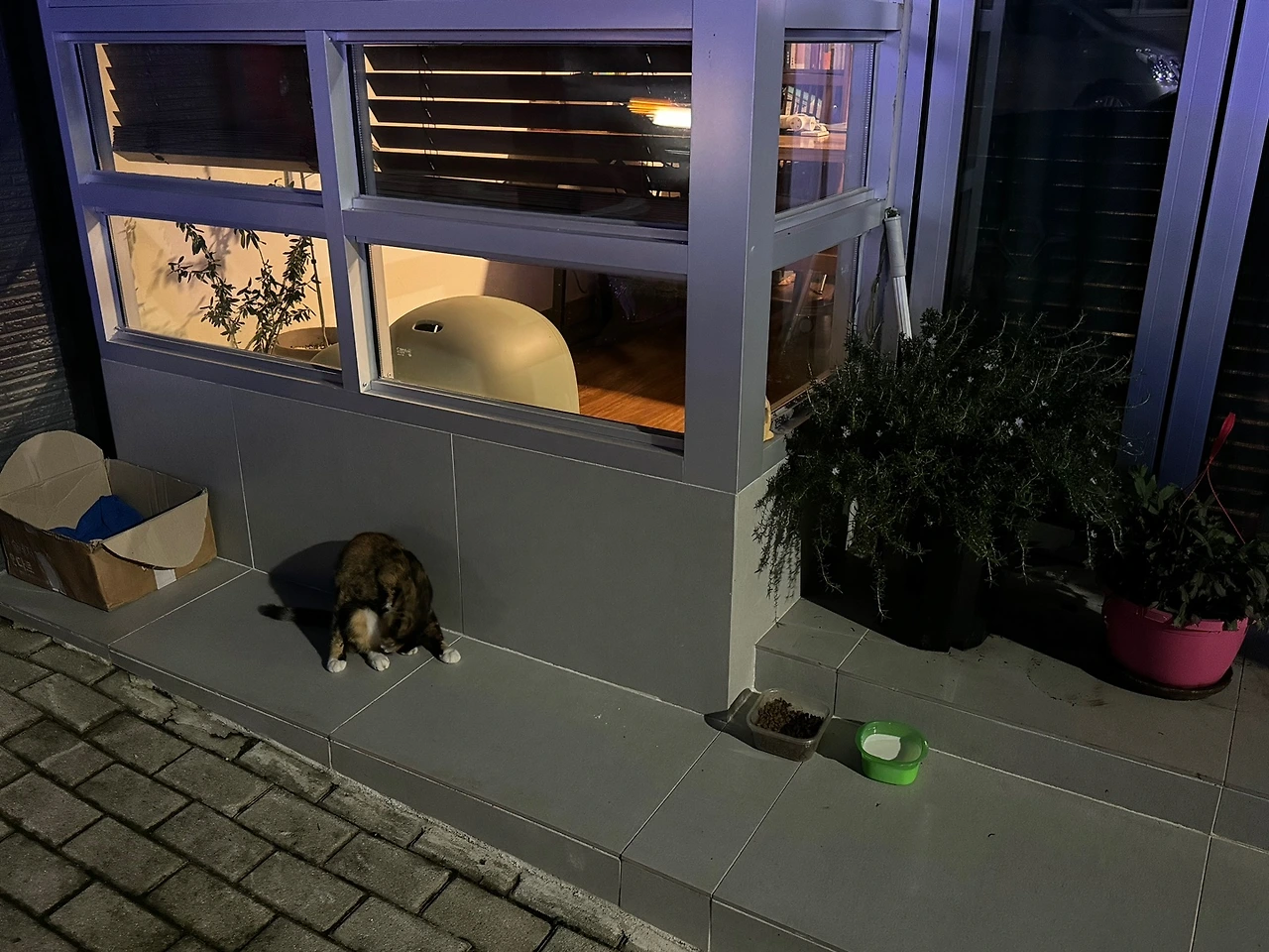 bmle0vXALRxOuOxpWAZhC4QIDuCP5CUC7mfGTQBPooE_VNxAjvgdrFGD6xHW07COa9Ey4QxA74SygqH2baD6uruLqRvkFOFNGJfvlJ3DXBrB6gJplLAm-o0=s0