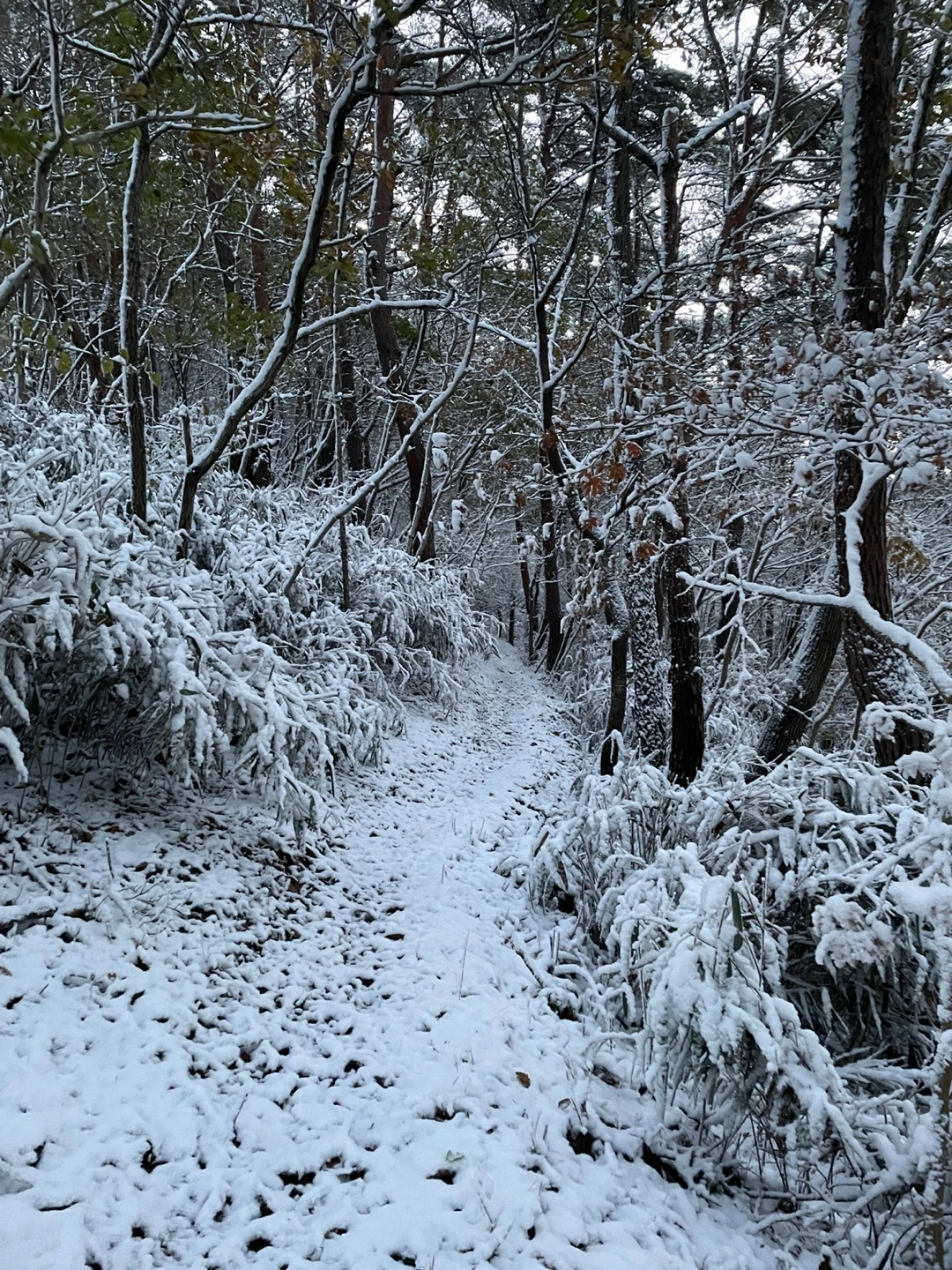 pDbmNQqbe3EM_BhpWNX4gDHUlB0E1eLyh6PXCjMy3AmYHC7cDb41zL1b-CbIuIz6RqzihgjvsNwxqJf--7-pJ3re7fYosdFaL5rmO2mHS3IrJoSZCIp9=s0