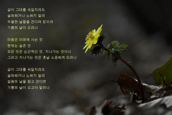 ?src=http%3A%2F%2Fblogfiles.naver.net%2F20110215_16%2Fsmkim2etri_1297744926775sjdGd_JPEG%2F_MCR0038_730_%25BD%25C3.jpg&type=sc960_832