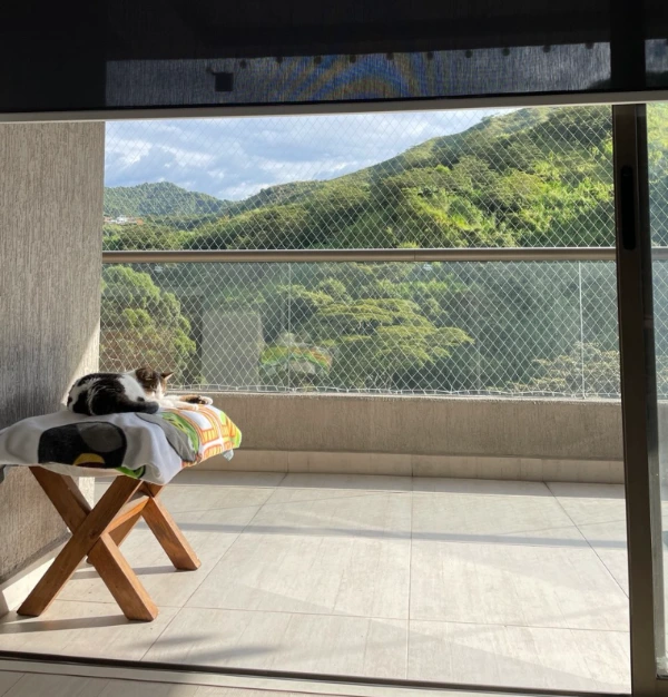 photo_2025-09-02 16.44.31.jpeg