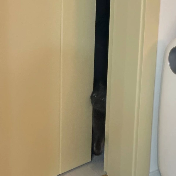 photo_2025-05-20 17.34.28.jpeg