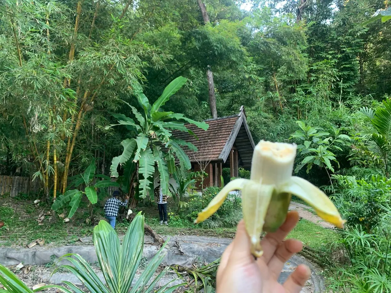 photo_2024-11-09 01.33.54.jpeg