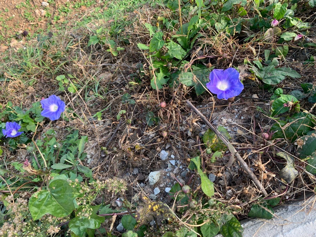 photo_2023-11-07 2.13.07 PM.jpeg