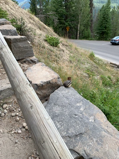 photo_2024-08-29 16.47.39.jpeg