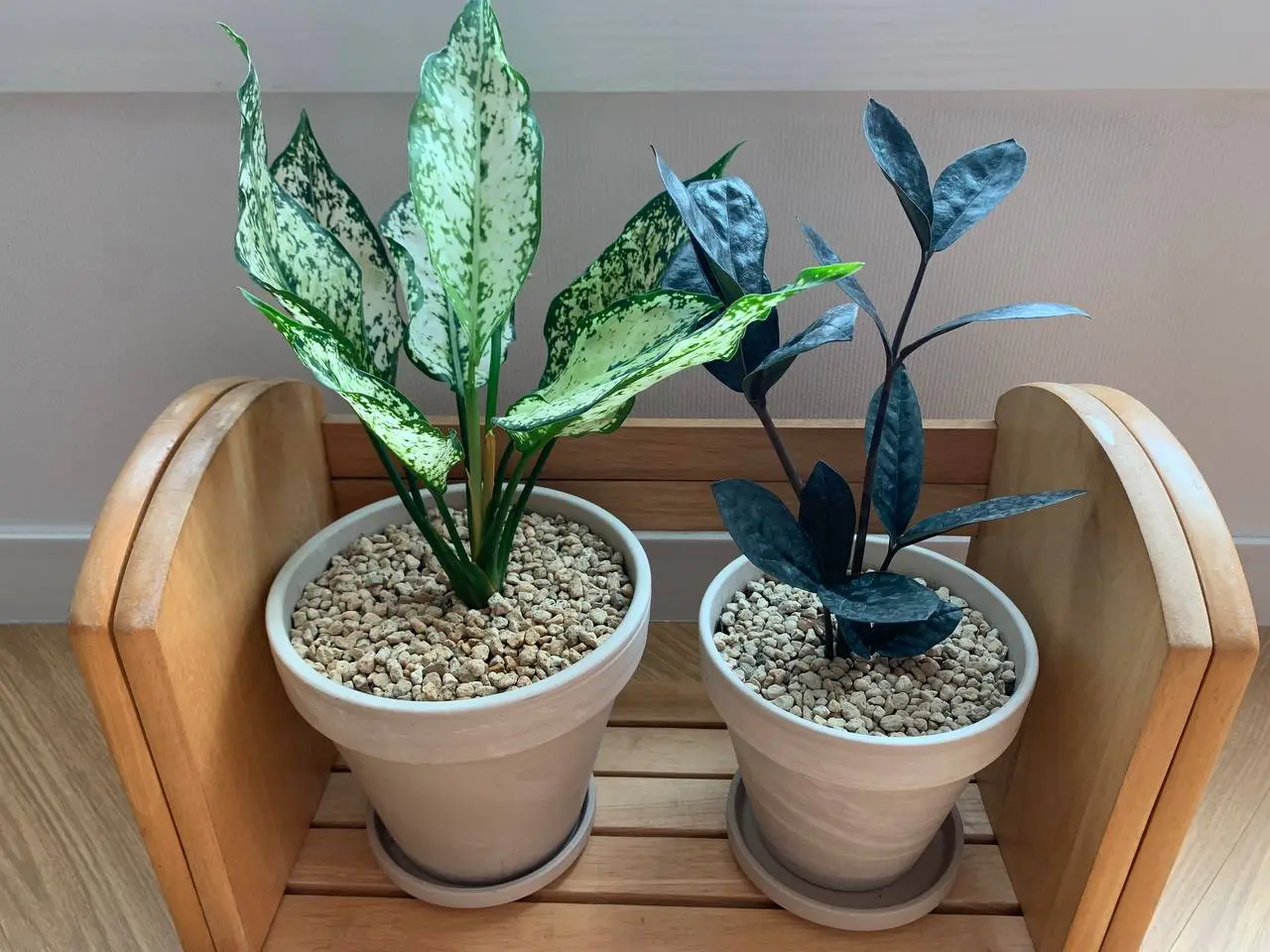 photo_2024-08-17 14.42.17.jpeg