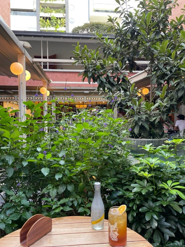 photo_2025-09-03 15.50.15.jpeg