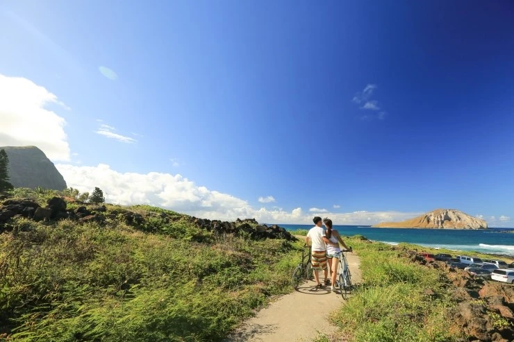 CI9A6111.jpg?type=w2