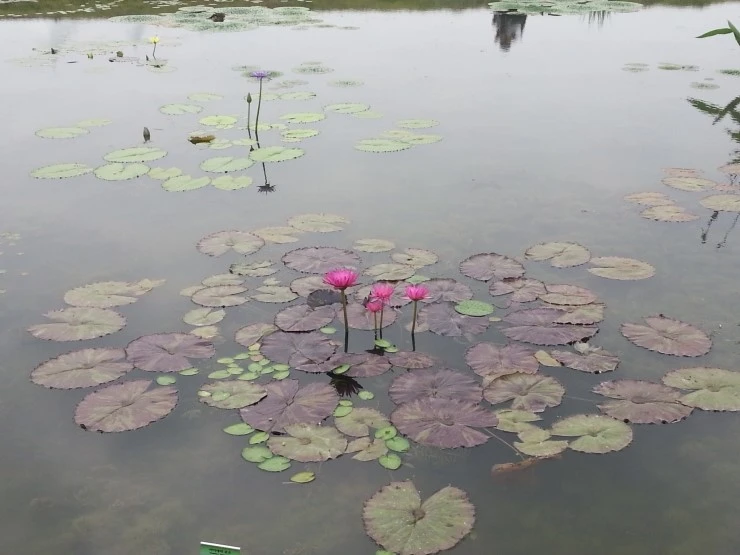 20140712_104745.jpg?type=w2