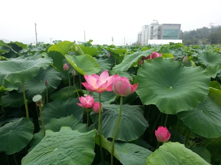 20140712_105636.jpg?type=w2