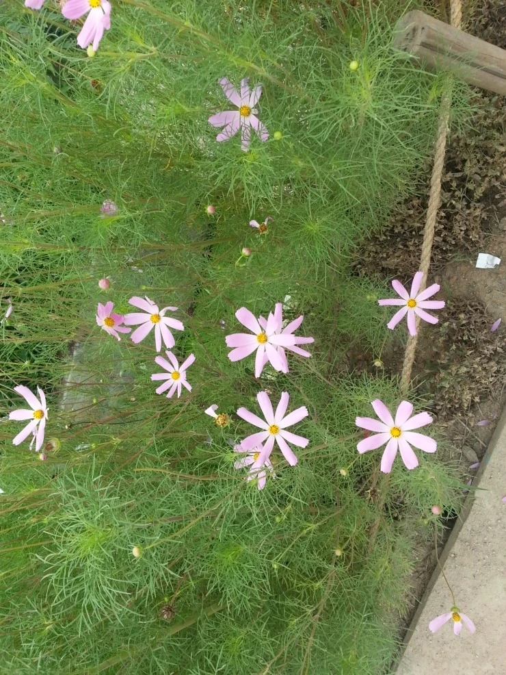 20140712_110019.jpg?type=w2