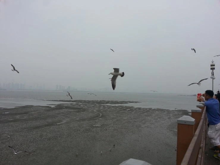 20140712_140137.jpg?type=w2