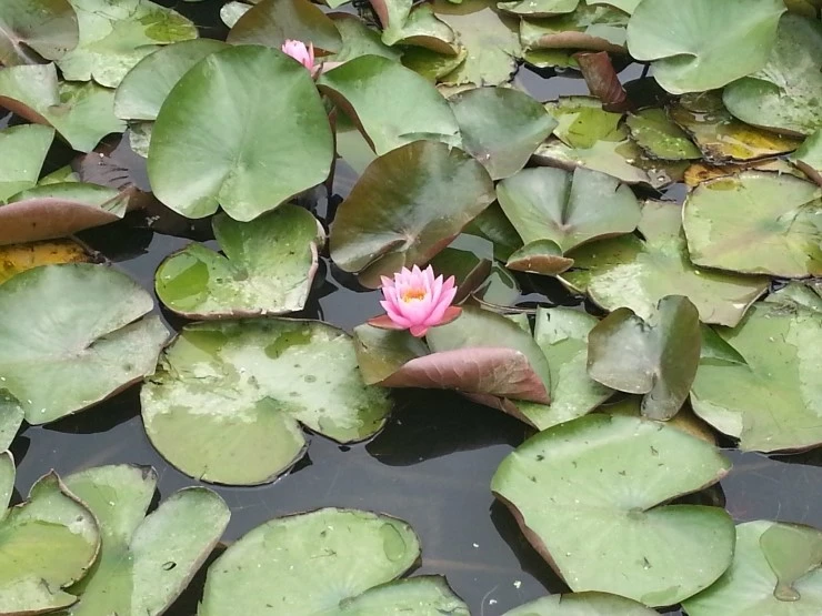 20140712_105439.jpg?type=w2