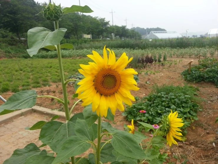 20140712_110842.jpg?type=w2