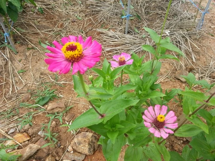 20140712_110855.jpg?type=w2